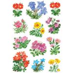 HERMA Schmucketiketten DECOR Gebirgsblumen 3 Bl.