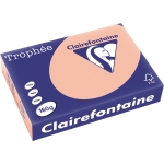 Clairefontaine Kopierpapier Trophe Color DIN A4 160g/m elementar chlorfrei gebleicht, holzfrei pfi